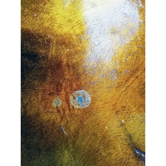 Leaf-Shaped Bowl Vintage Midcentury Modern Monkey Pod 8.5 Inch Rustic Kitchen - Picture 6 of 16